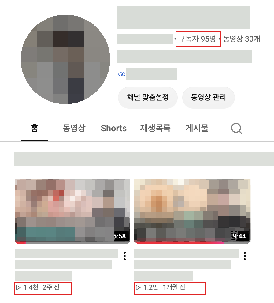 유튜브 채널 화면 형태를 유지하고 얼굴·이름·제목만 가린 구독자95명, 대표 영상1.2만회 화면